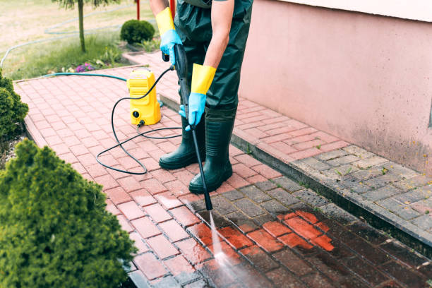 Best Pressure Washing Siding  in Braham, MN