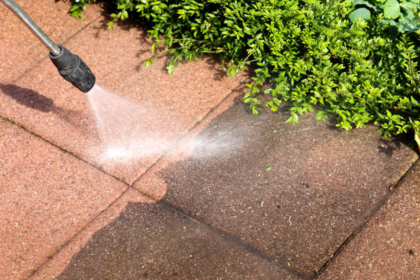 Best Pressure Washing Services for Businesses  in Braham, MN